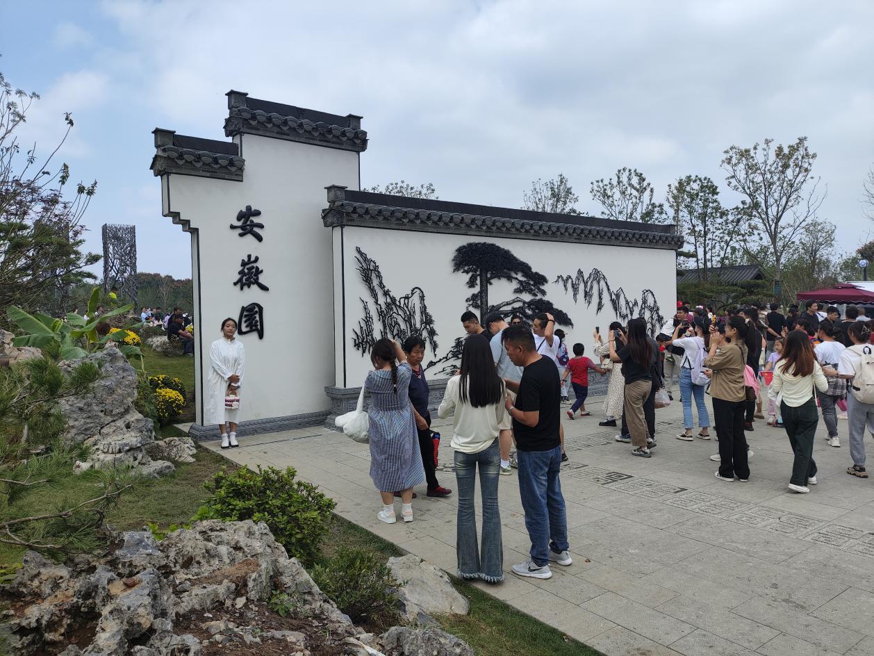 非遺技藝走進(jìn)合肥園博園